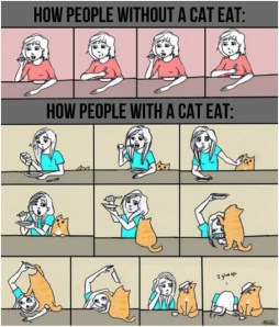 Eating with cats