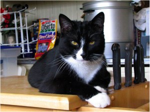 Oh, so I can't sleep on the bed, then? Fine. Good night, then.